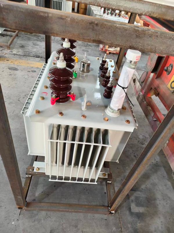 S13‑1000kVA 安岳安岳安岳油浸式变压器 大型厂区 S13 安岳安岳安岳油浸式变压器